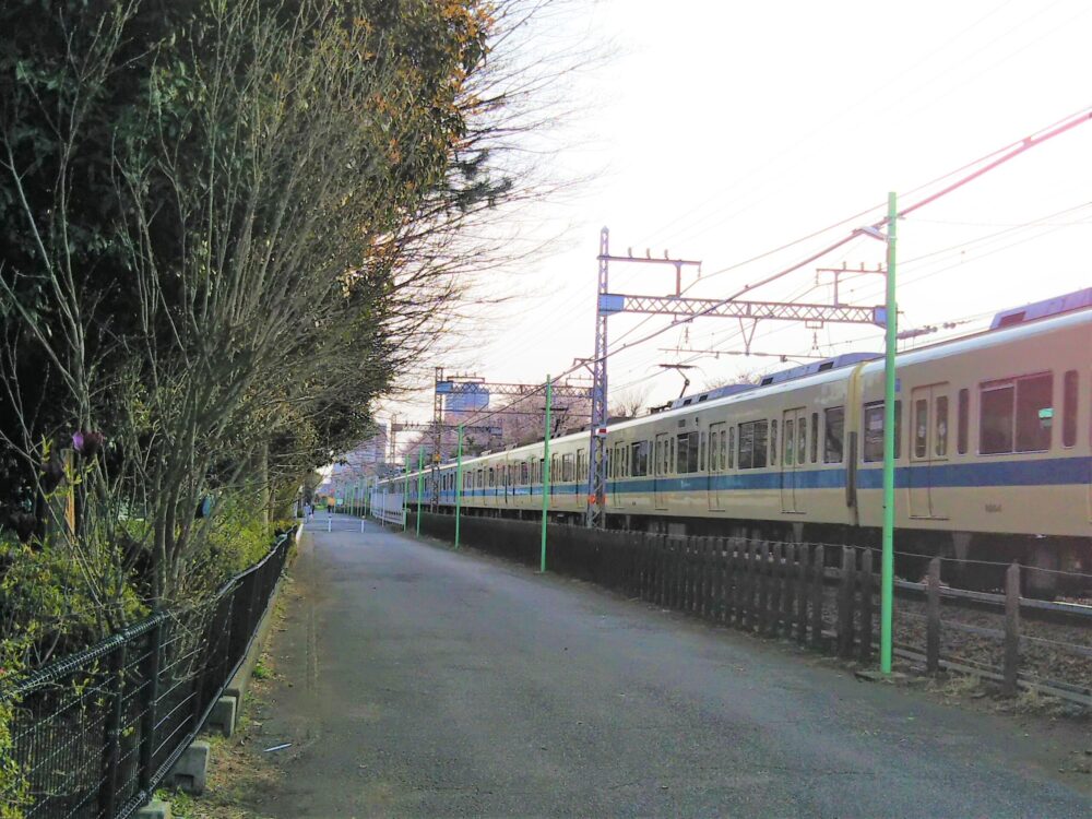林間公園沿いで見える小田急線の電車