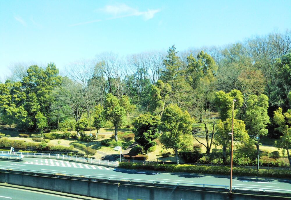 多摩モノレールから見える大塚東公園