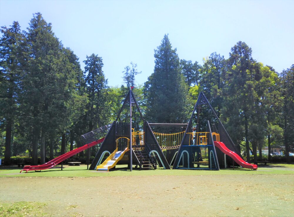 淵野辺公園の遊具情報まとめ リニューアル後のターザンロープもおすすめ 相模原 てまりの虫めがね