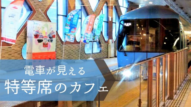 新宿で電車が見える ロマンスカーカフェ 体験談 子鉄が喜ぶ小田急グッズも販売 東京 てまりの虫めがね