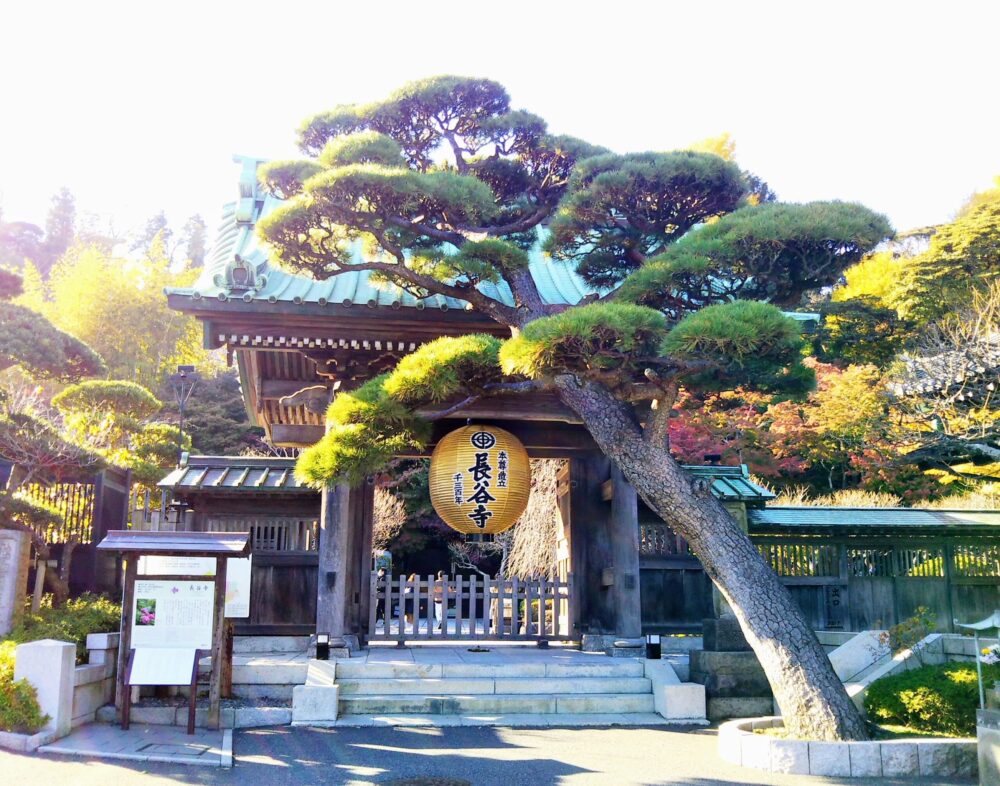 鎌倉の長谷寺｜山門