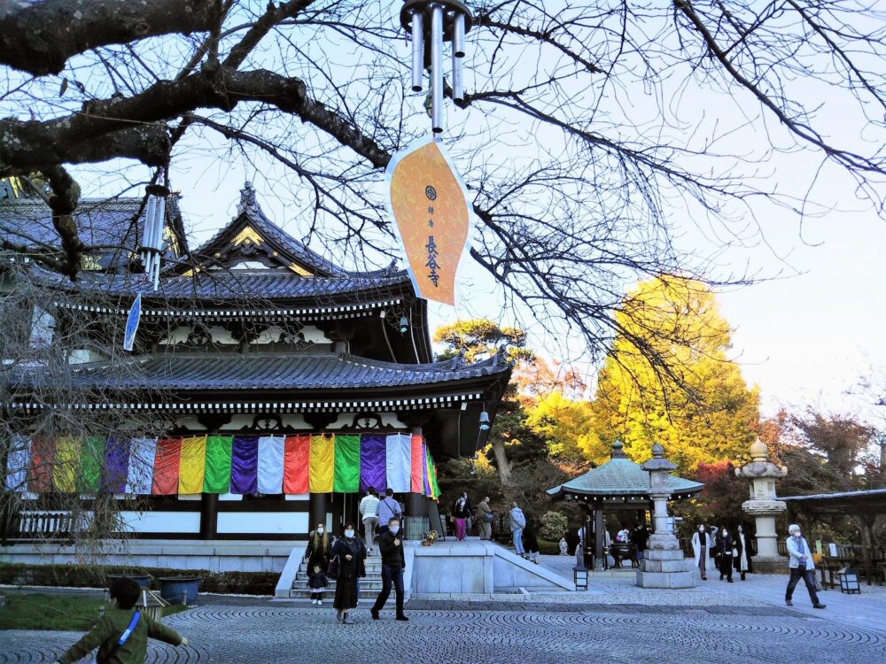 鎌倉の長谷寺｜本堂とイチョウの木
