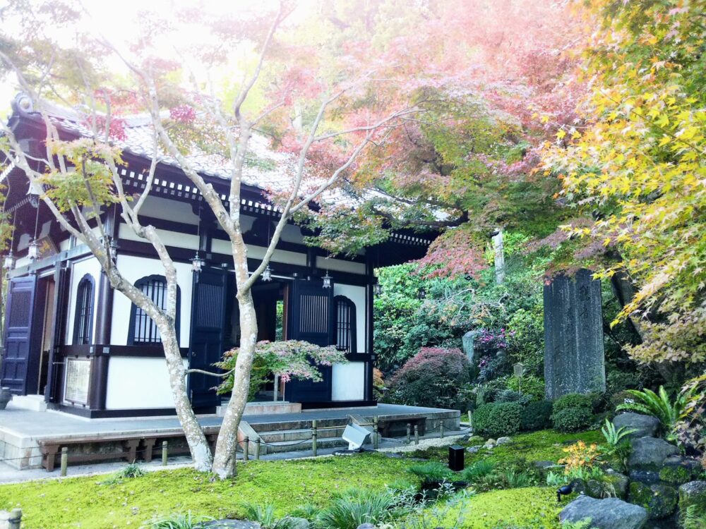 鎌倉の長谷寺｜経蔵周辺の紅葉