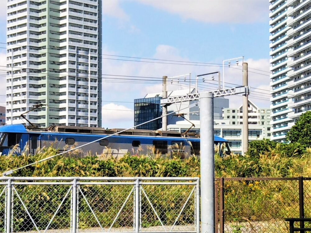 高島水際線公園｜園内から見える貨物列車