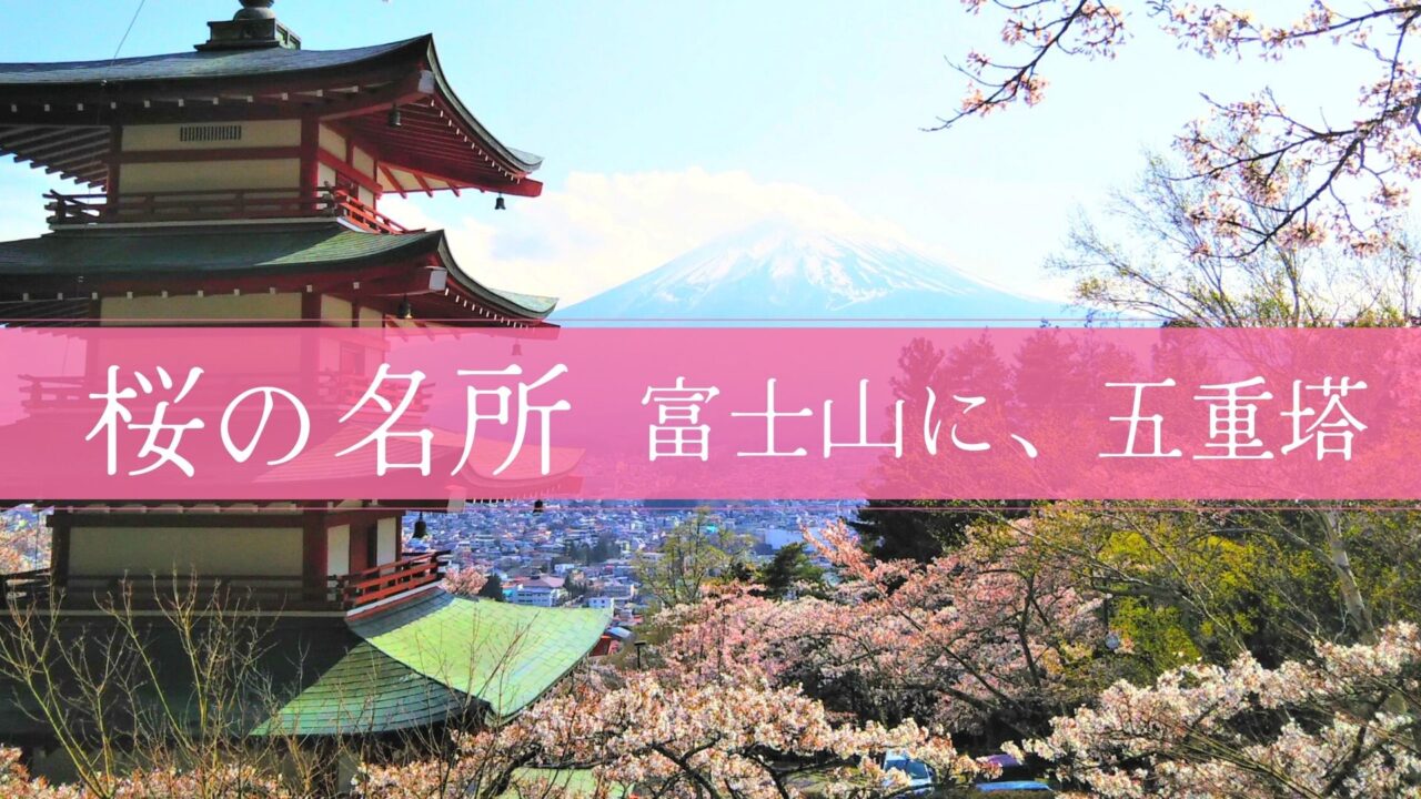 新倉山浅間公園の桜｜展望デッキから見える景色