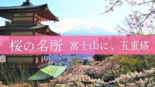 新倉山浅間公園の桜｜展望デッキから見える景色