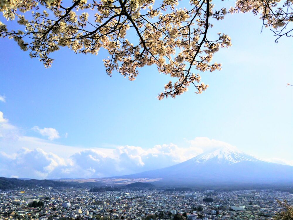 新倉山浅間公園｜展望デッキへの散策路から見える富士山