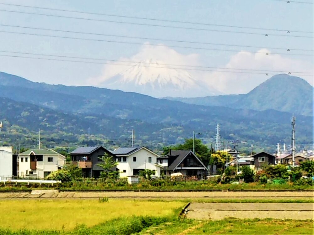 ロマンスカーの座席｜富士山・山側の景色
