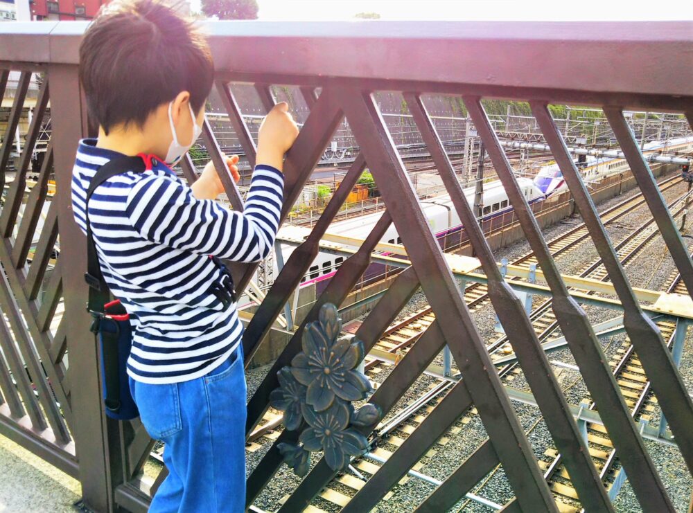 【トレインミュージアム】下御隠殿橋で見える新幹線と眺める子供