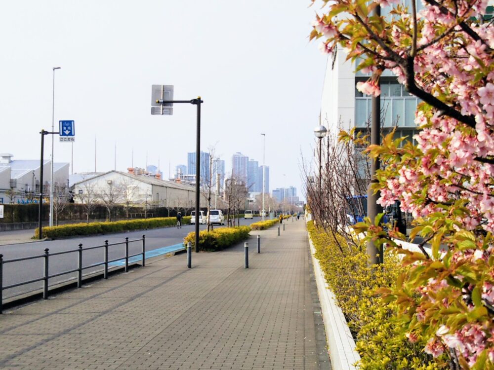 新川崎ふれあい公園｜公園へ行く途中の幅が広い歩道