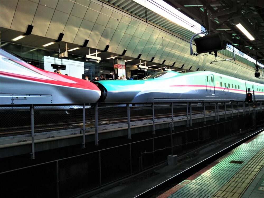 東京駅ホームで見える新幹線｜はやぶさ・こまち連結