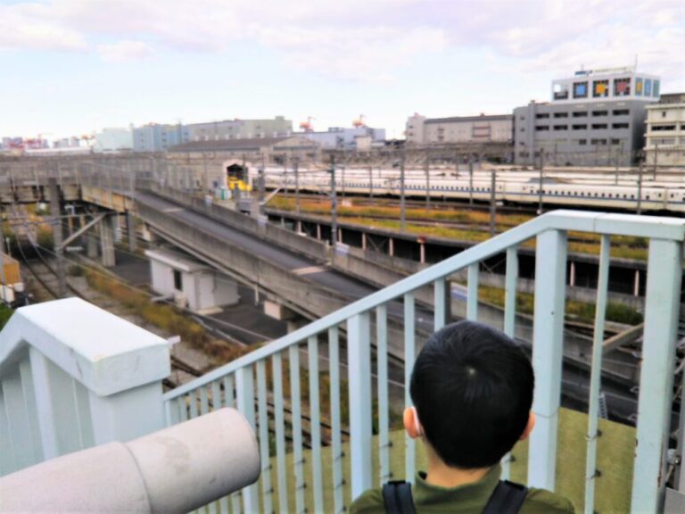 【大井車両基地】ドクターイエローが見れるスポット＆行き方や駐車場情報も紹介！運行日以外がおすすめ！｜てまりの虫めがね