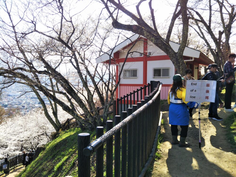 新倉山浅間公園の桜｜4月3日の展望デッキ混雑状況｜待機する列の最後尾