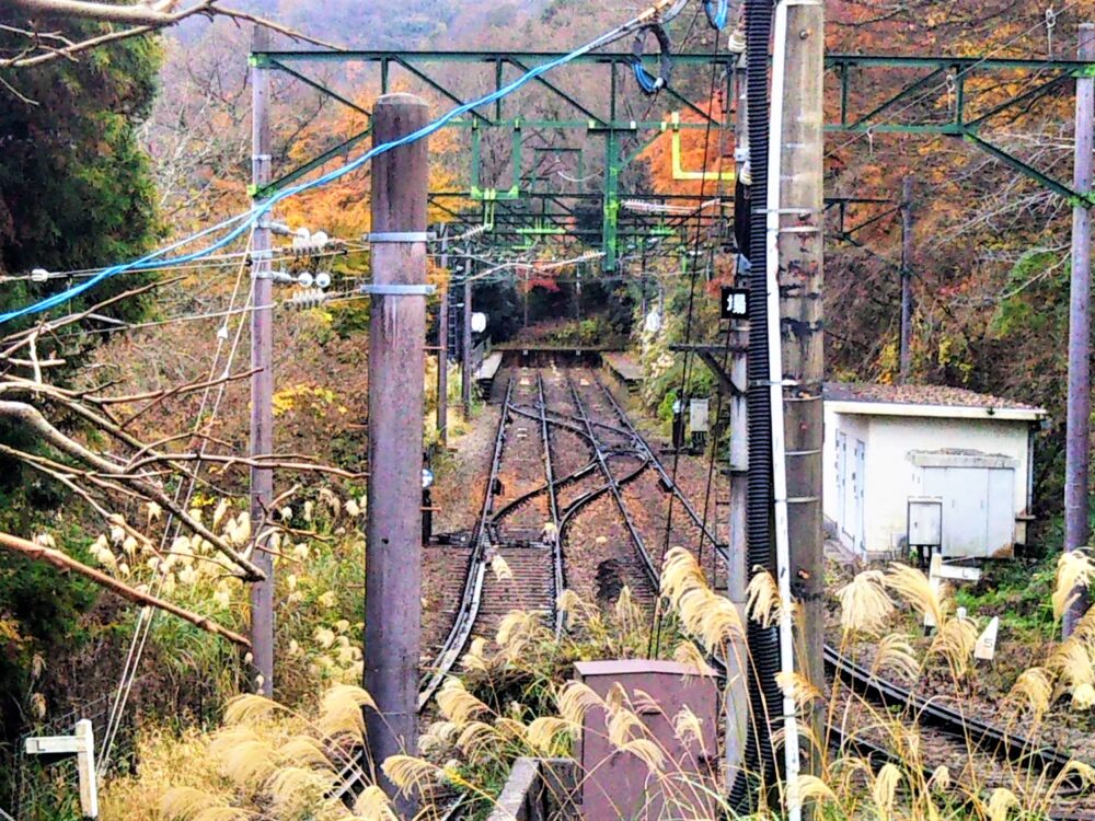 箱根登山電車が見えるスイッチバックカフェ｜デッキから見えるスイッチバック信号場