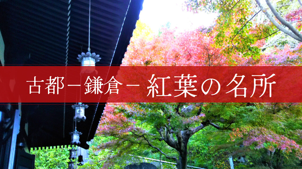 鎌倉の長谷寺｜紅葉の見頃と時期・ライトアップ情報