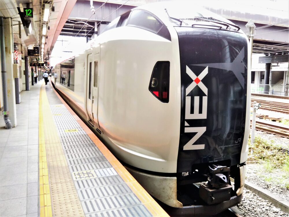 JR新宿駅の5・6番線ホーム｜待機中の成田エクスプレス