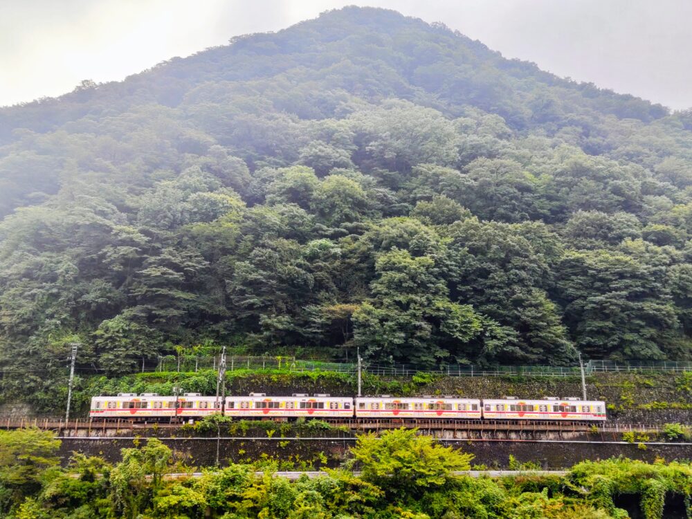 トレインビューホテル「鬼怒川温泉あさや」｜部屋から見えるラッピング電車・ベリーベリーハッピートレイン｜2025年宿泊時に撮影