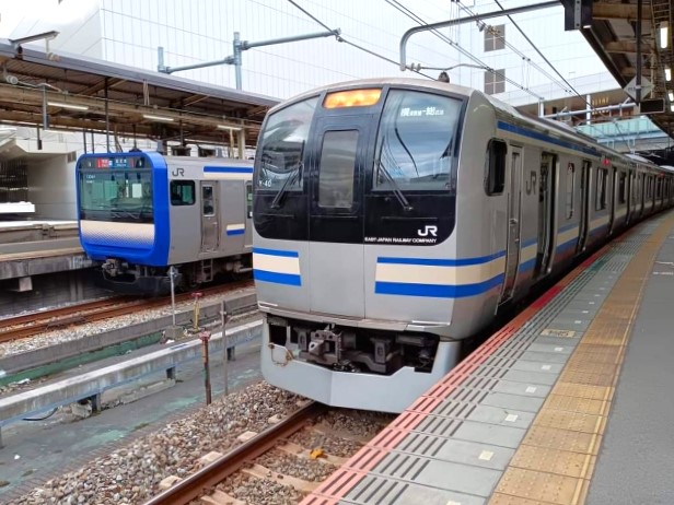 横須賀・総武快速線E235系とE217系