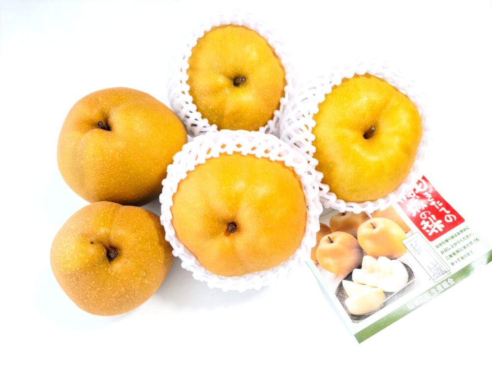 稲城市生産の梨『稲城』2025年直売所で買えた梨｜贈答用と自宅用